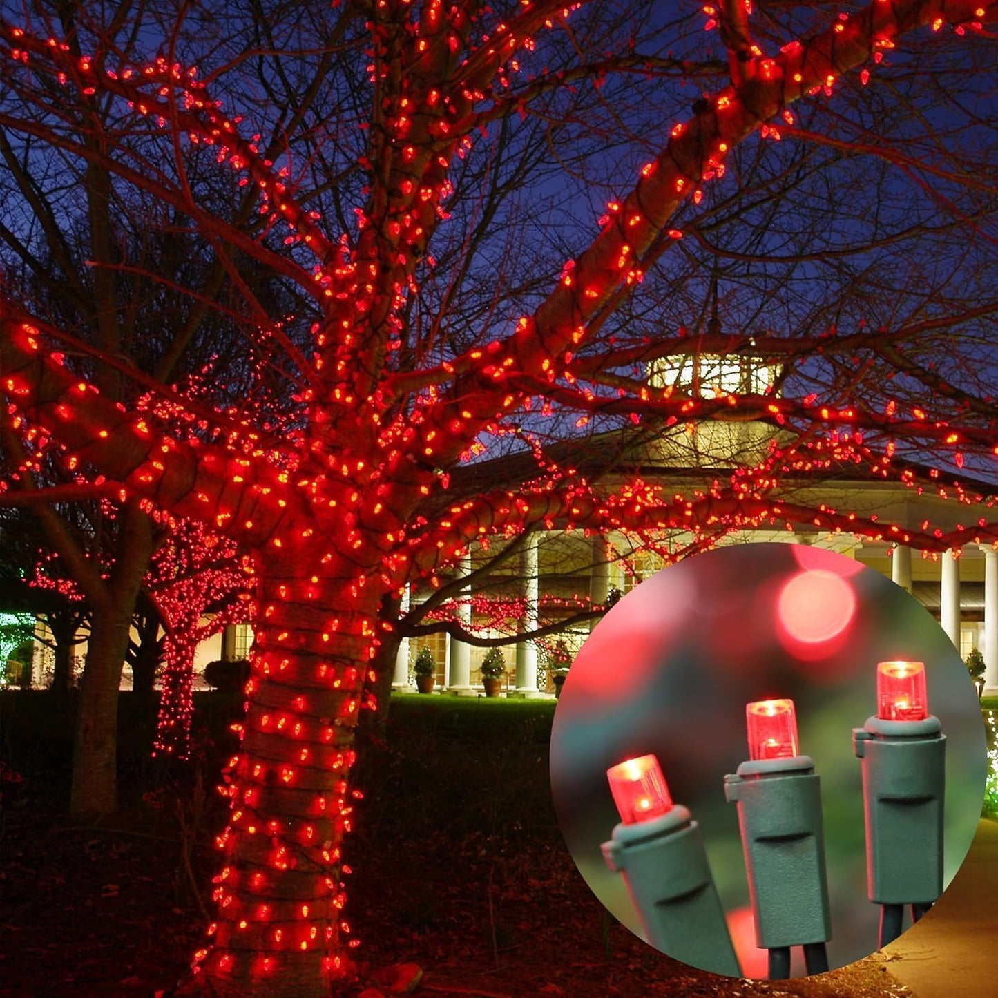 60 Count Red -String Lights - LED Christmas Lights, Mini led Lights for Indoor Outdoor Home Holiday Party Wedding Independence Day Decoration