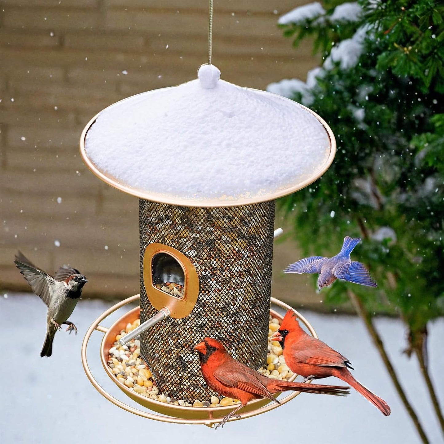 Bird Feeder for Outdoor, Metal Wild Bird Feeder Hanging Outside, 7.5" Copper Roof and 360 Degree Feeding Tray with 2 Extra Feeding Ports, 3 Lbs Bird Seeds Capacity