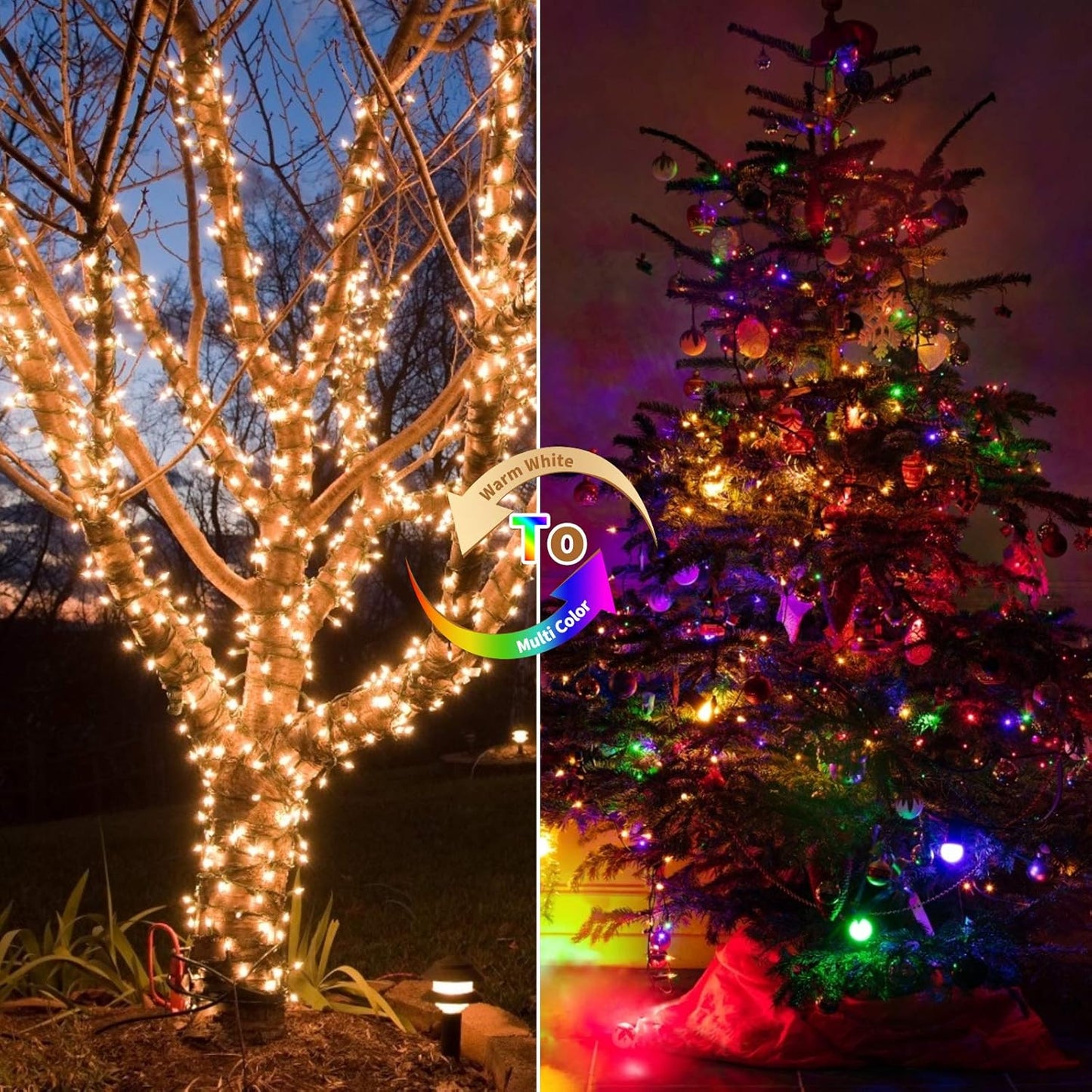 Battery Operated Christmas Lights 2 Pack 18 Feet 50 LED Clear Mini String Lights with 8 Modes Waterproof Tree Lights for Xmas Outdoor Indoor Holiday Party Garden Decor, Warm White + Multicolor