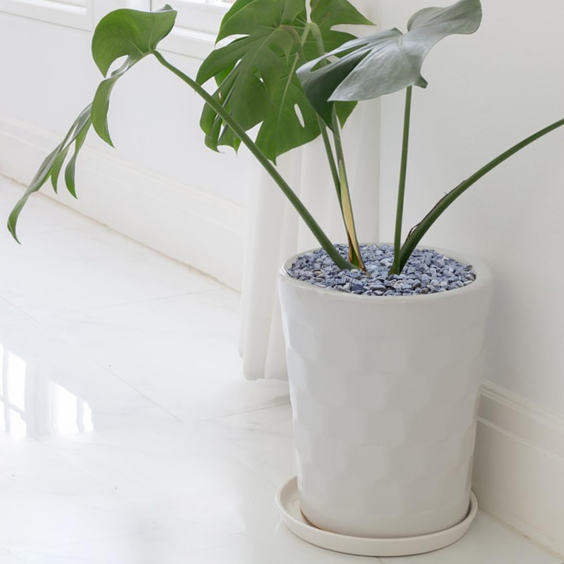 10LB Succulent and Cactus Gravel, 1/5 Inch Natural Decorative Polished Pebbles for Landscaping, Grey River Rocks for Plants, Vases, Aquariums, Terrarium and Outdoor Gardening