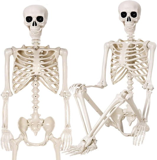 2 Pack 36" Halloween Skeleton - 3 ft Life Size Human Skeleton with Full Body Posable Joints - Spooky Scary Plastic Skeletons for Outdoor Decoration, Halloween Party Decor, Haunted House Props