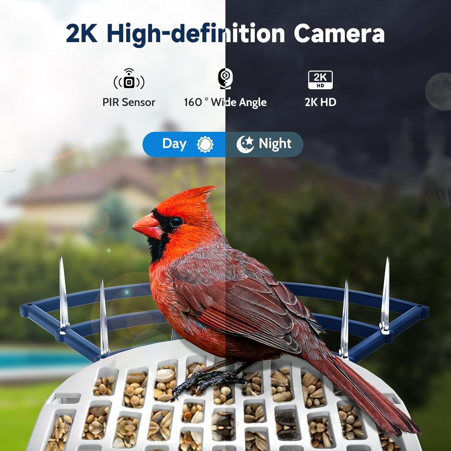 Bird Feeder with Camera Bird Feeders for Outdoors with Solar Panel, AI Identification, Ideal Gift for Lovers Friends and Parents, Navy Blue