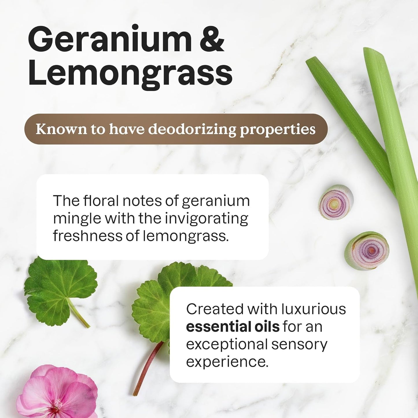 ATTITUDE Fabric Softener with Essential Oils, Vegan, Plant and Mineral-Based Ingredients, HE, Refillable Aluminum Bottle, 40 Loads, Geranium and Lemongrass, 33.8 Fl Oz