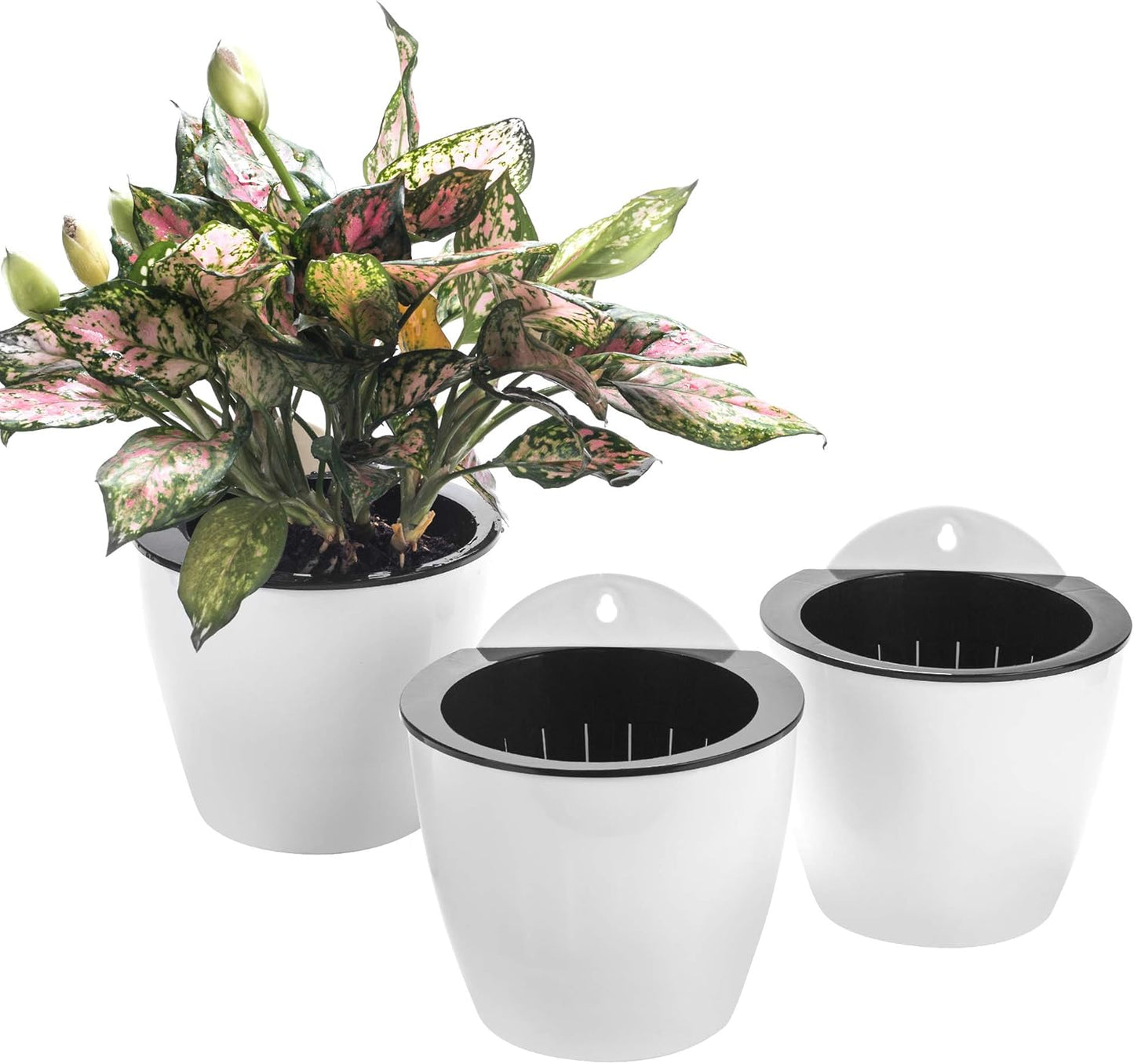 3 Pack Self Watering Wall Hanging Planter Pots Vertical Garden Window Hang Mount Indoor Outdoor Plant Flower Basket for Kitchen Herbs Balcony Railing Shelf Fence Bedroom Trellis Decor Modern White Box