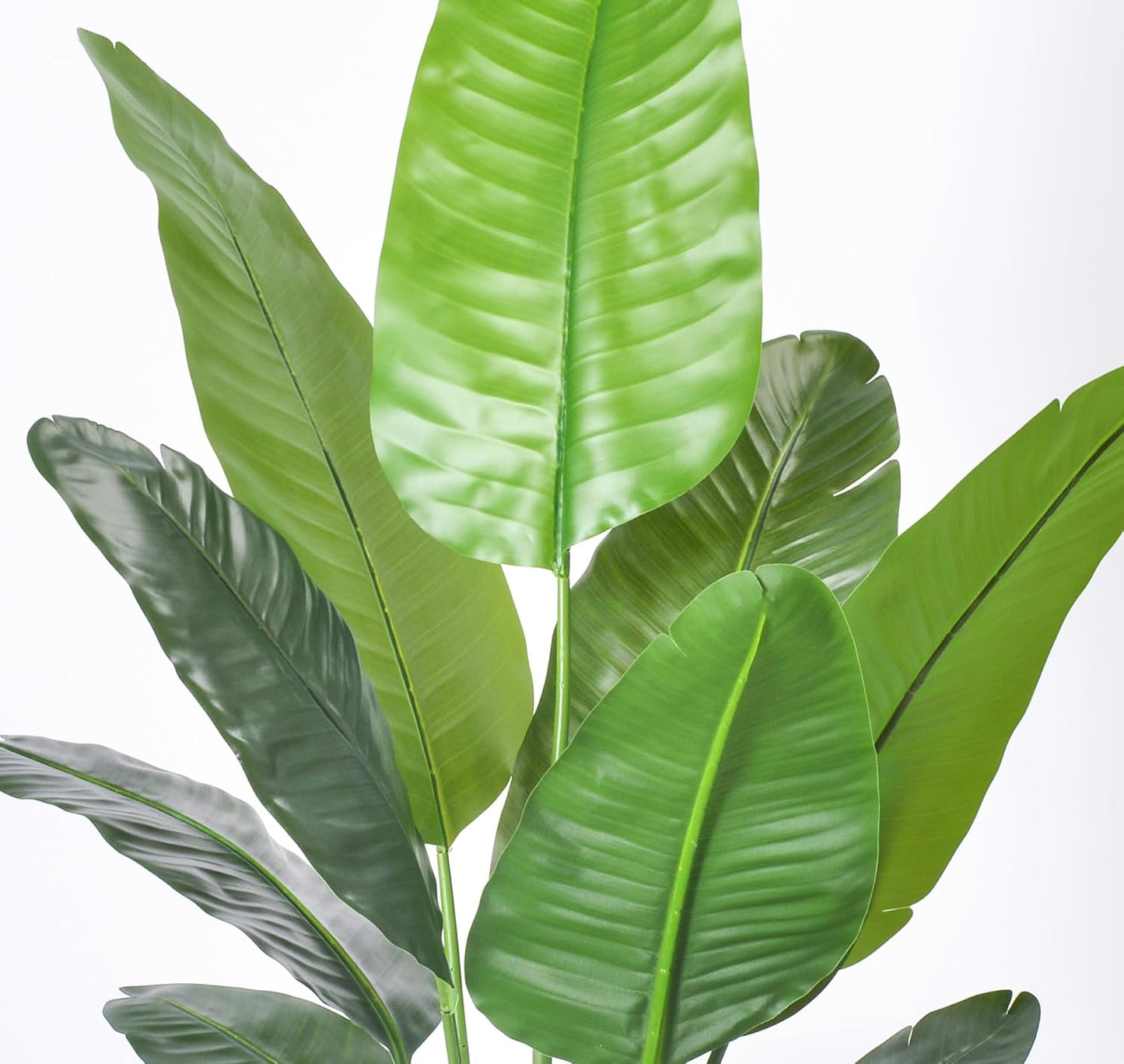 6FT Artificial Bird of Paradise Plant,Faux Palm Tree Potted Plant with Real Touch Leaves,Fake Trees for Home Living Room Office Indoor Outdoor Decor(6FT-1Pack)