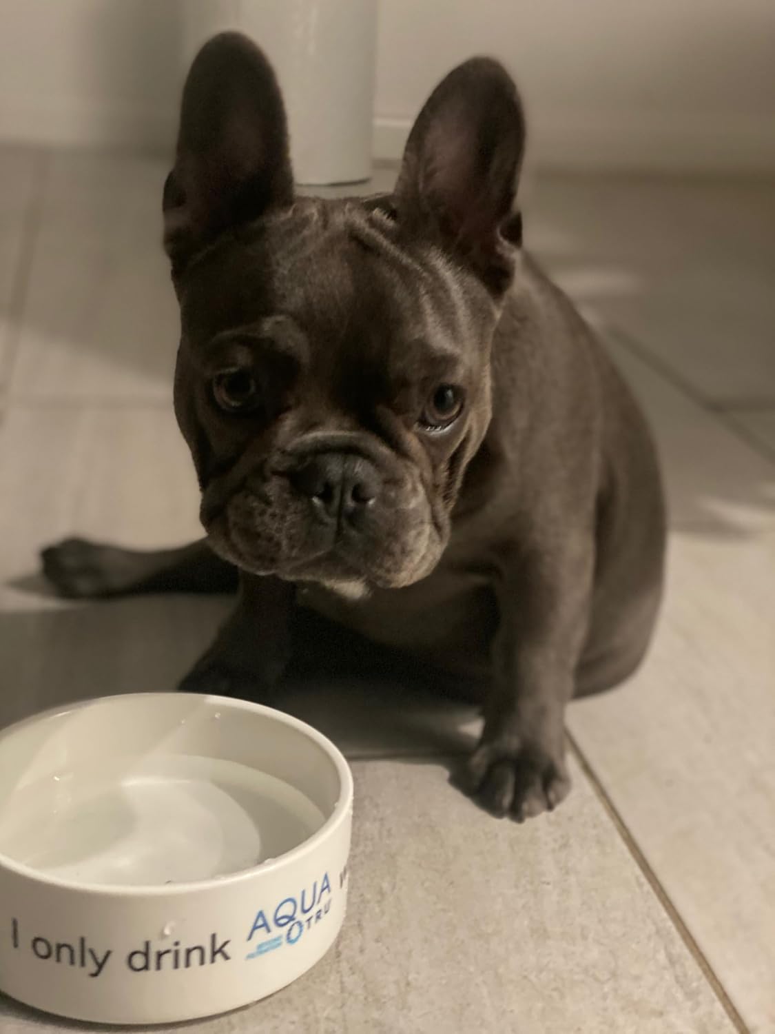 AquaTru Carafe Smart | Countertop Water Purifier for PFAS and Other Contaminants with Exclusive 4-Stage Ultra Reverse Osmosis Technology (No Plumbing or Installation Required) | BPA Free