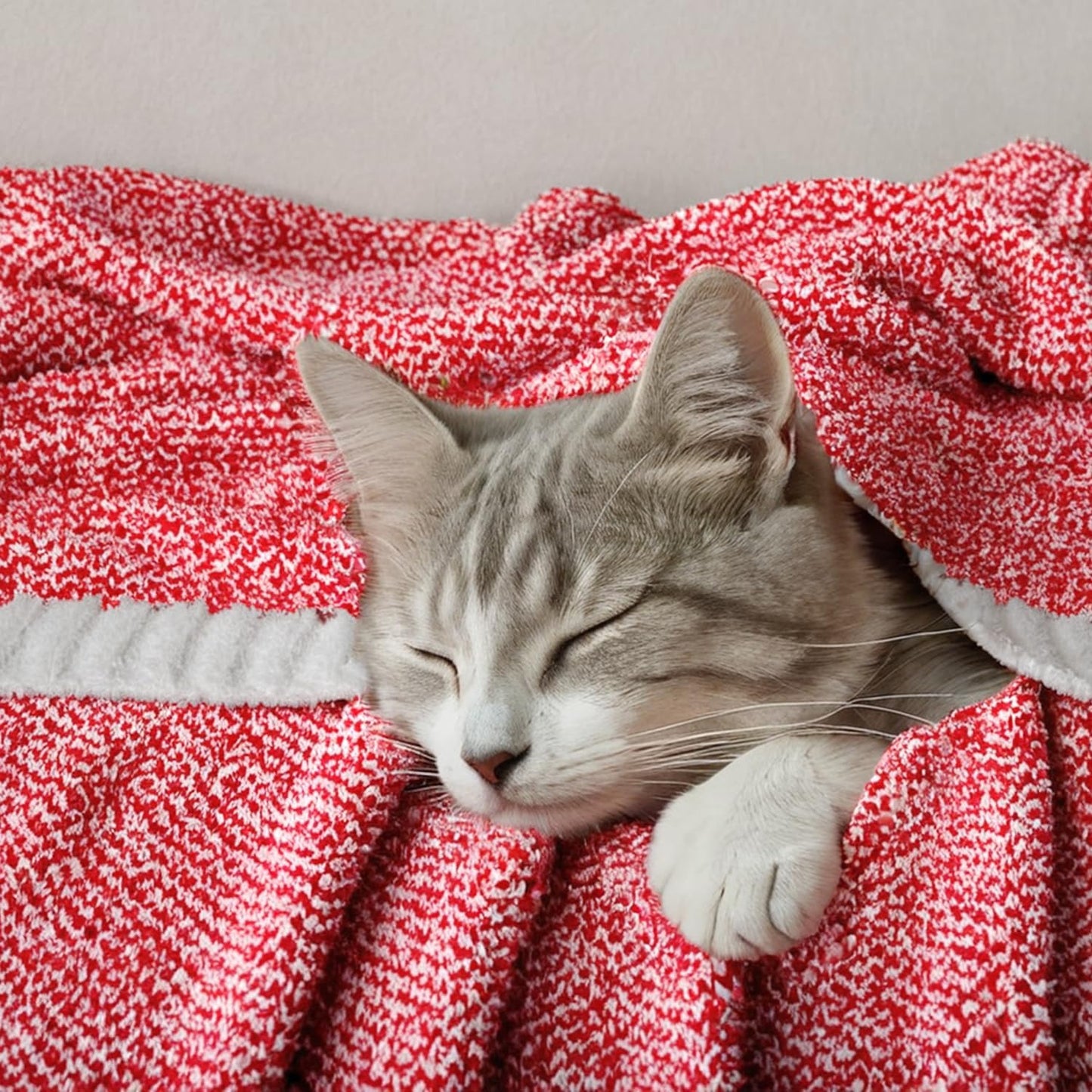 MIULEE Red Super Soft Throw Blanket for Couch, Cozy Fluffy Warm Blankets Knit Throw Blankets for Sofa, Bed, Chair, Living Room, Camping, Picnic, 50 x 60 inch