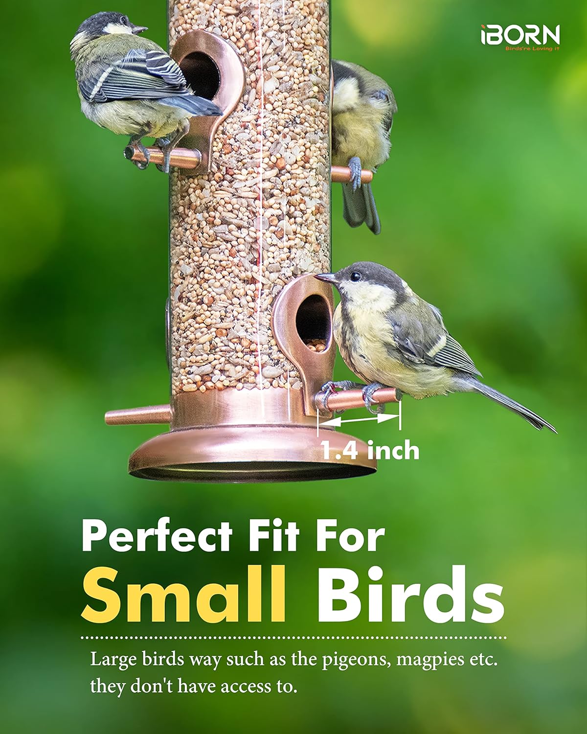 iBorn Metal Bird Feeders Metal Bird Feeder Copper for Outdoors Hanging All Metal Copper Finishing 14 Inch 4Port(Seed is not Included)