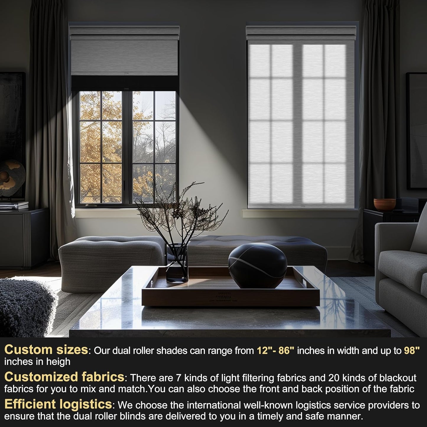 BERISSA Cordless Dual Roller Shades with Cassette Valance,Double Window Shades Blackout and Light Filtering Shades,Day and Night Roller Shades for Home Office Door.Linen Black and White.59 W x 44" H