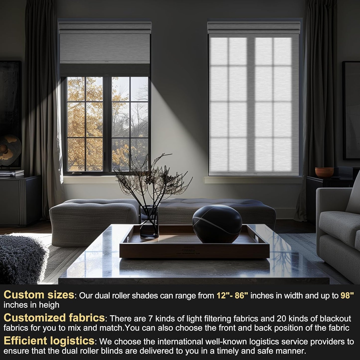 BERISSA Cordless Dual Roller Shades with Cassette Valance,Double Window Shades Blackout and Light Filtering Shades,Day and Night Roller Shades for Home Office Door.Grey and White.68 W x 44" H